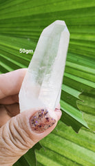 Lemurian 50gm