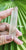 Lemurian point 29gm