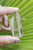 Lemurian 36g based cut