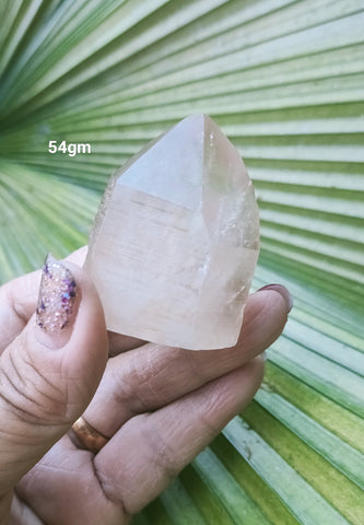 Lemurian Pink 54g