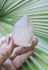 Lemurian Pink 54g