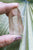 Lemurian Pink 43g