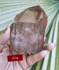 Lemurian Red 311g
