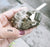 Pyrite, Calcite & Quartz Clusters 238g
