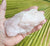 Rose Quartz raw 286g