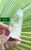 Champagne Citrine Natural Point 105gm