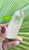 Champagne Citrine Natural Point 105gm