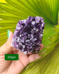 Amethyst Cluster 222g