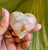 Golden Healer Heart  * Brazil