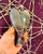 Angel Trolleite 254g