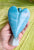 Angel Trolleite 289g