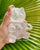Bear Bear Quartz