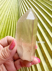Lemurian Smoky 120g