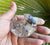 Herkimer Diamond  *闪灵钻  82g