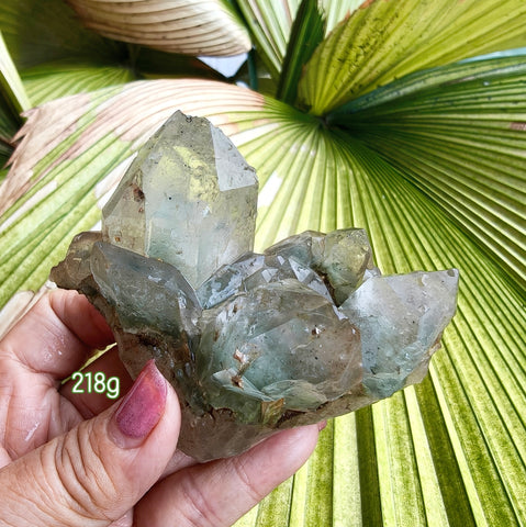 Cluster- Himalayan Green Chlorite Phantom 218g