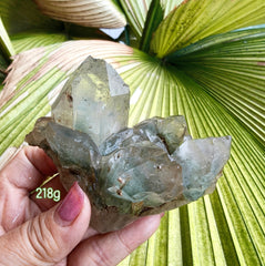 Cluster- Himalayan Green Chlorite Phantom 218g