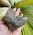 Cluster- Himalayan Green Chlorite Phantom 218g