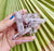 Clusters -  Las Vigas Vera Cruz Amethyst * RARE