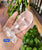 Whale Quartz 249gm