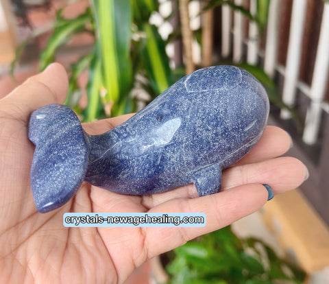 Whale Blue Quartz 195g