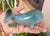 Trolleite Whale 309g