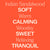 Plant Therapy- Sandalwood Indian Essential Oil 10ml