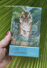 Oracle- Nature Enlightenment