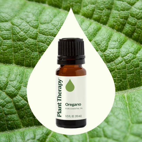Plant Therapy - Oregano Essential Oil 10ml