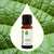 Plant Therapy - Oregano Essential Oil 10ml