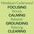 Plant Therapy- Cedarwood Himalayan Essential Oil 10ml