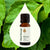 Plant Therapy- Patchouli Essential Oil 10ml