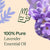 Plant Therapy- Lavender Essential Oil 10ml