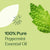 Plant Therapy- Peppermint Essential Oils 100ml