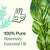 Plant Therapy- Rosemary 1,8-Cineole Essential Oil 10ml
