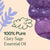 Plant Therapy- Clary Sage Essential Oil