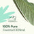 Plant Therapy- Desert Sage Blend 10ml  *NEW