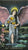 Tarot - The Soul Seeker Tarot