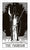 Tarot - Black Ritual Tarot