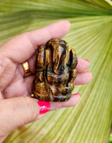 Lord Ganesha Tiger Eye * 50x30mm