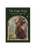 Oracle cards- Wisdom of the Hidden Realms by Colette Baron-Reid