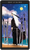 Tarot - The Cavendish Novaes tarot