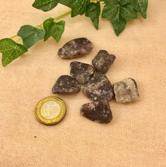 Lepidolite Tumbled crystals *small