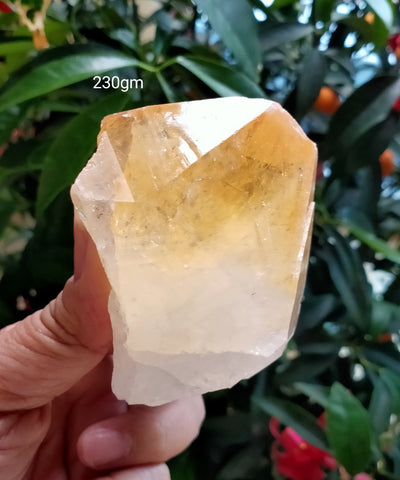 Citrine raw Large 230gm  ; 75x60mm