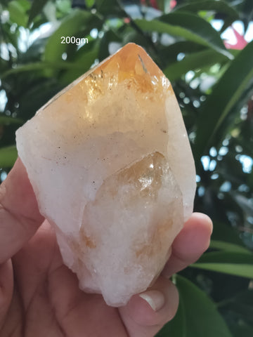 Citrine Point Large 200gm  ; 85x50mm
