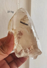 Citrine Natural Point 211g