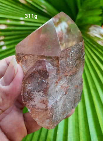 Lemurian Red 311g