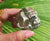 AA Pyrite Cubic 155g