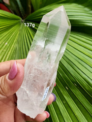 Lemurian Laser Point AA Quality 137g