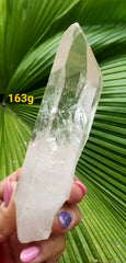 Lemurian Laser Point AA Quality 163g