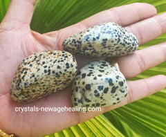 Dalmatian Jasper tumbled large